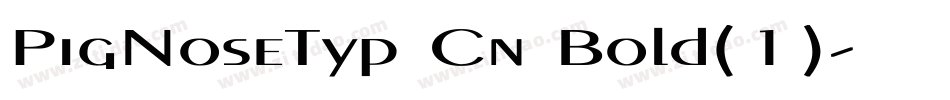 PigNoseTyp Cn Bold(1)字体转换
